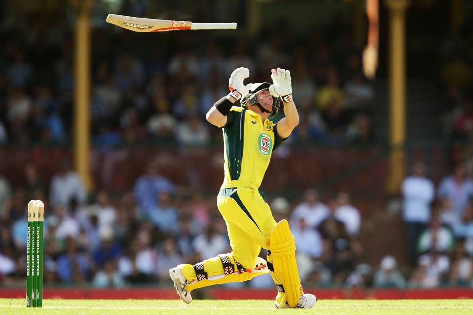 David Warner