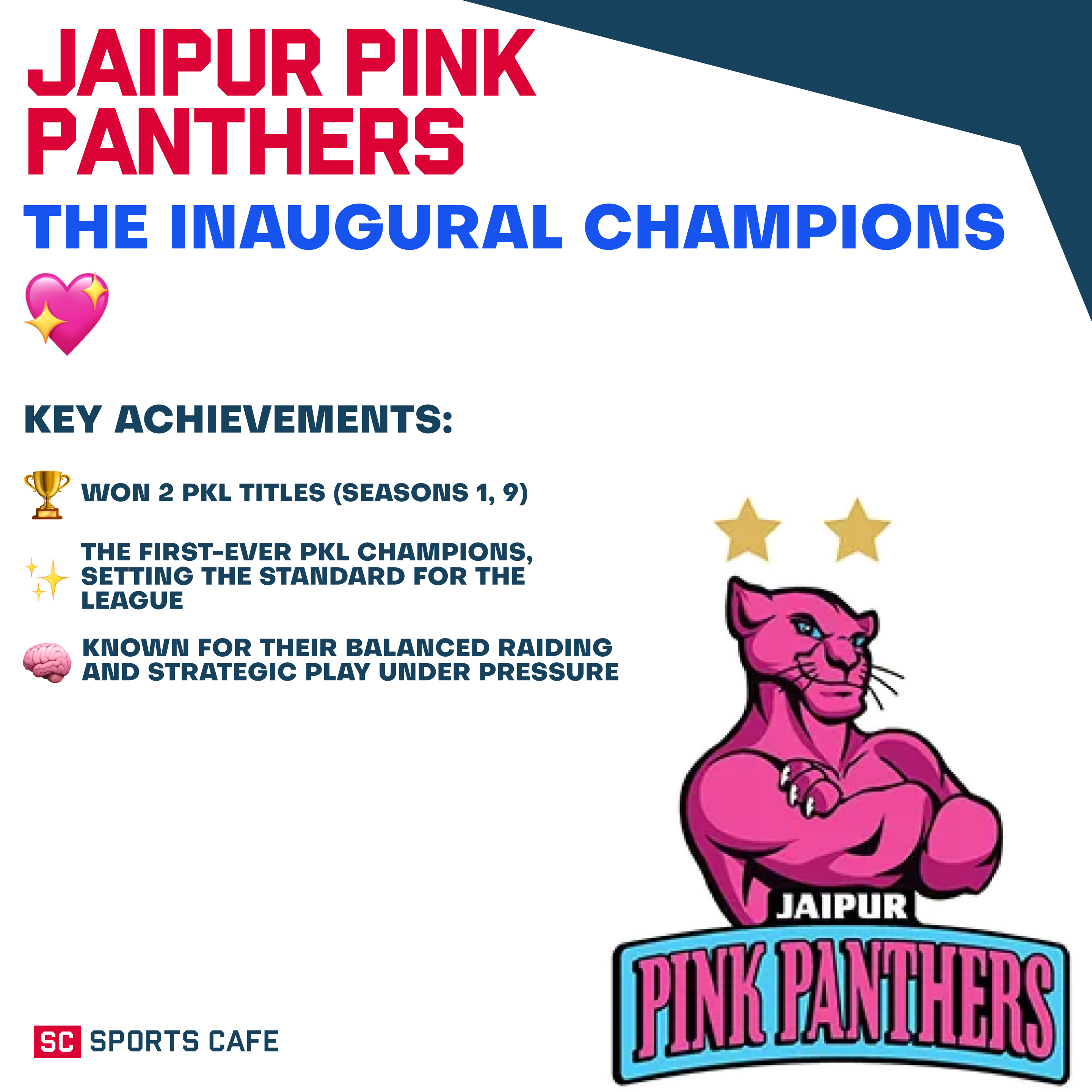 Jaipur Pink Panthers Best Pro Kabaddi Teams.
