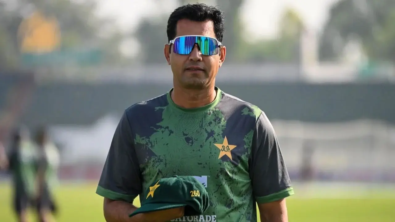 International Career.