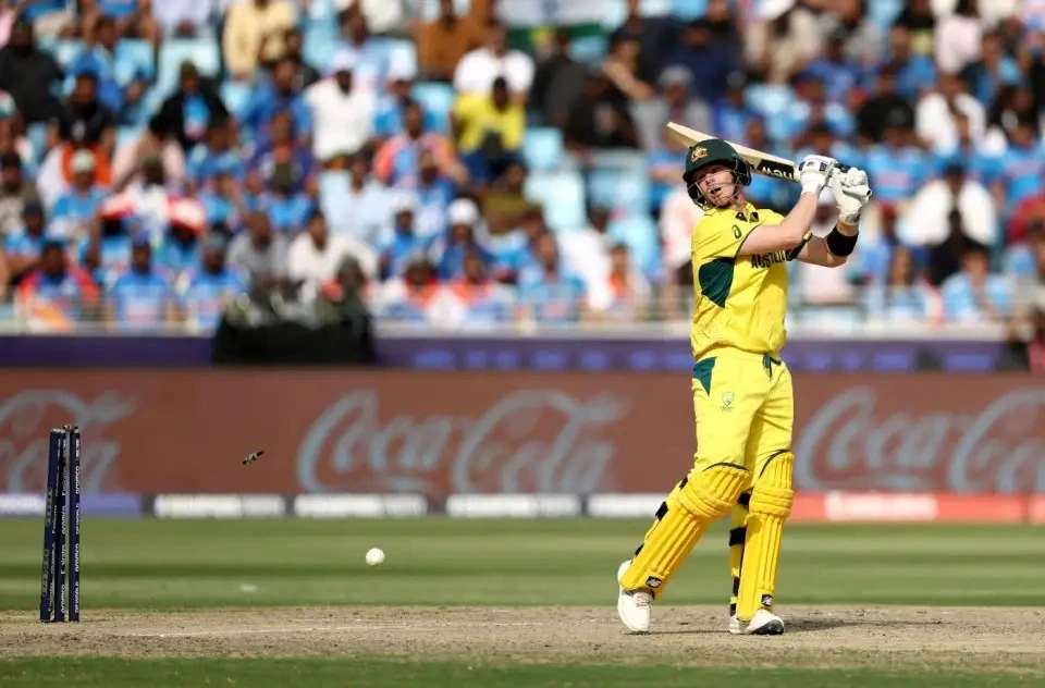 Steven Smith (73) and Alex Carey (61) helped Australia to score 264 runs.