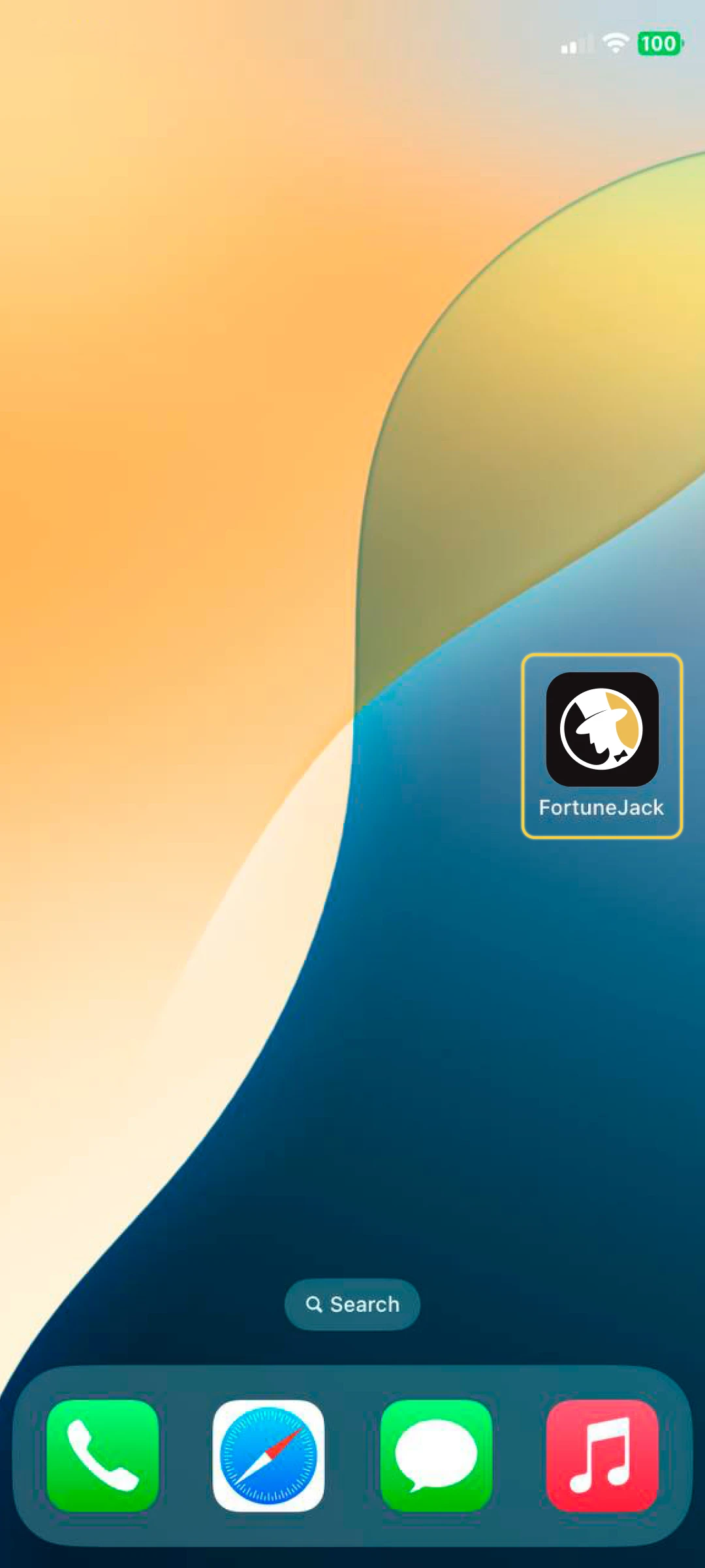 The icon will appear on the mobile screen.