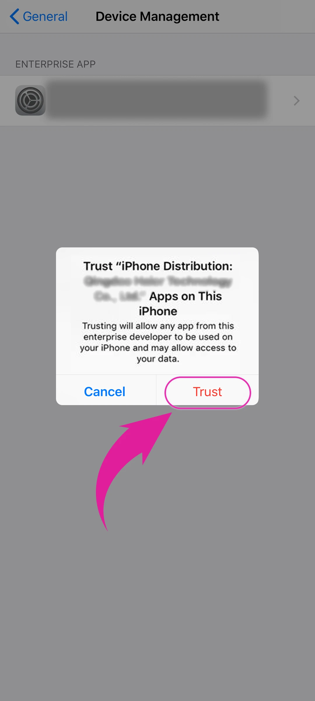 Trust the App on Your Device.