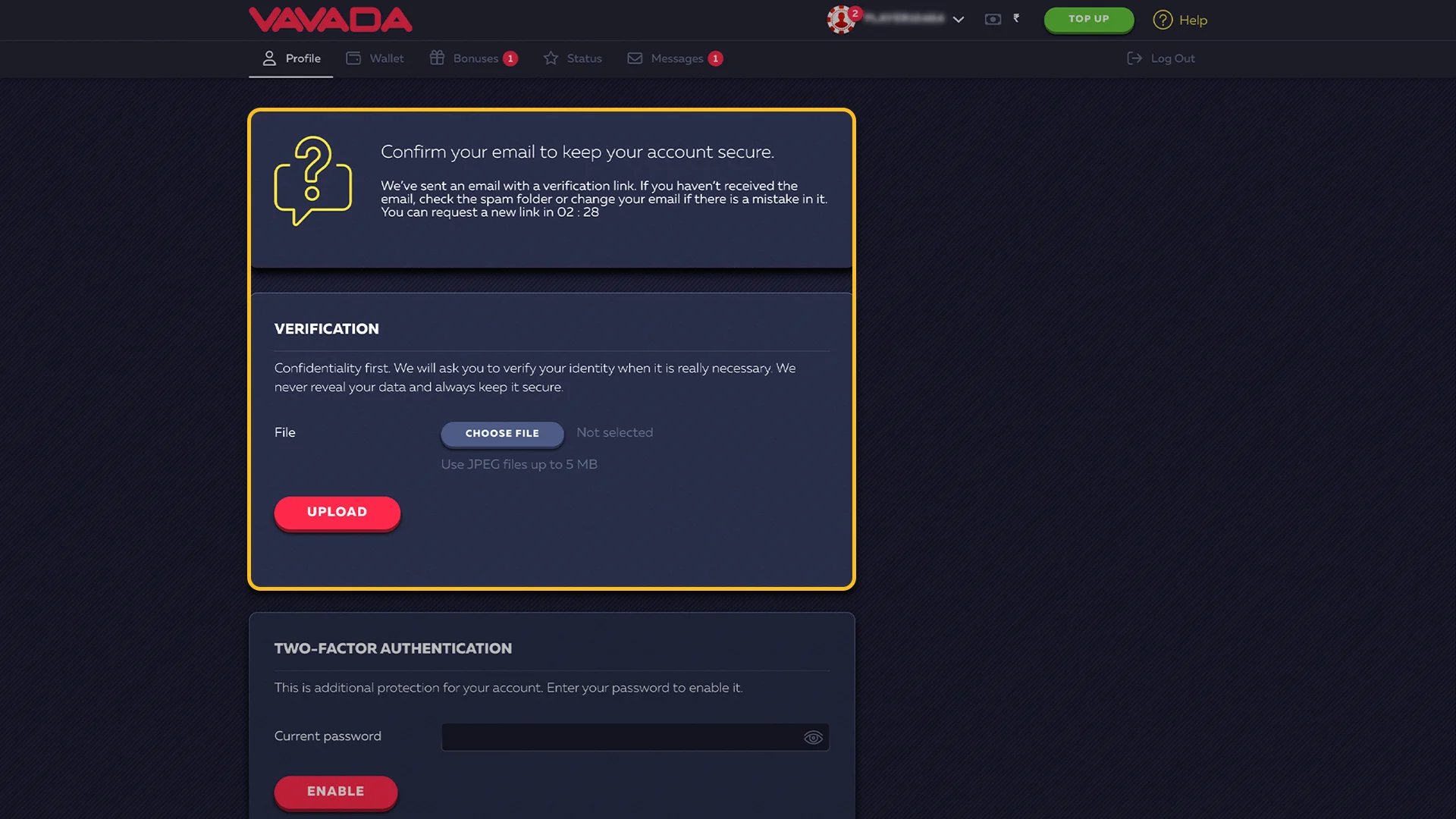 Verify the Account Vavada.