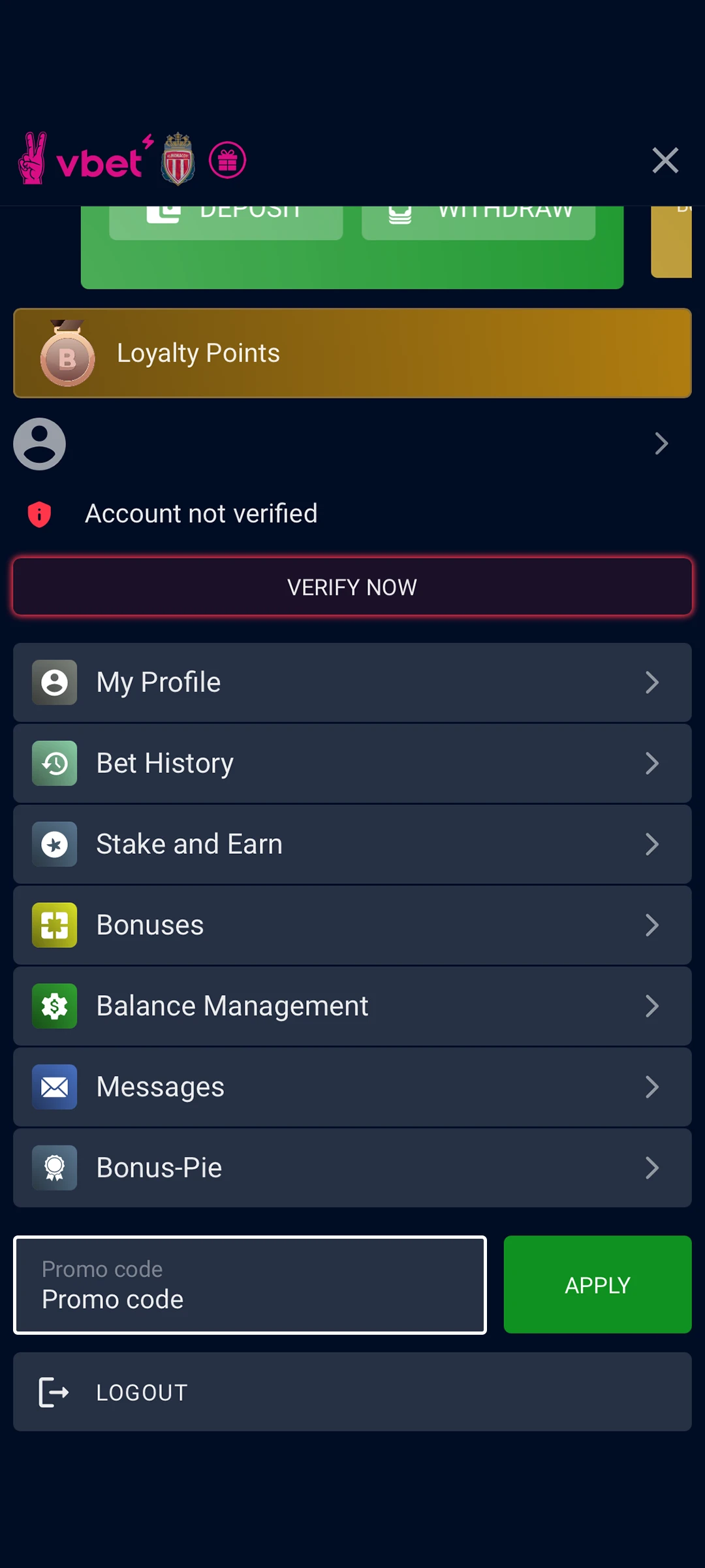 Window for entering a promo code on Vbet mobile app.